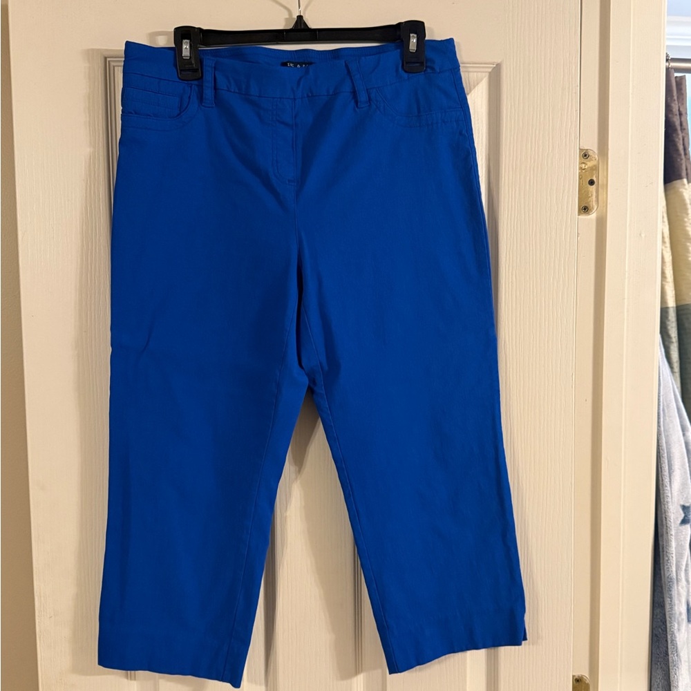 Zac & Rachel Vibrant Blue Pants